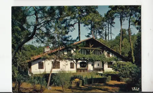 BF22357 au pays landais villa dans les pins france front/back image