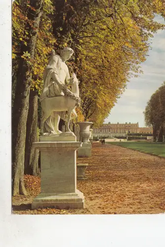 BF30961 le berger cyparisse de glamen et l versailles france front/back image