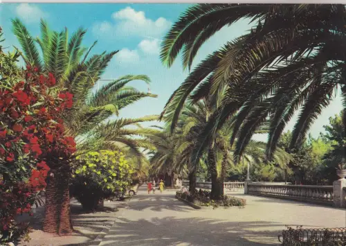 BF16562 s benedetto del tronto viale trieste italy front/back image