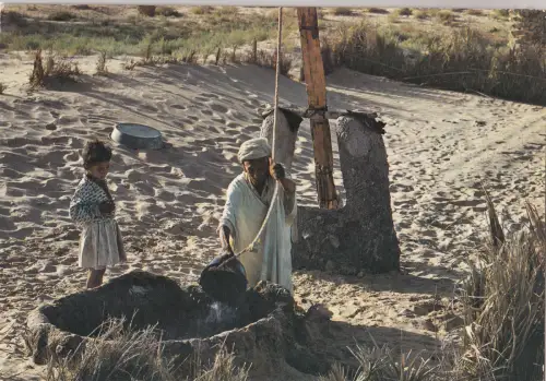 BF17665 Biskra Scnes Set Typen Algerien Front/Back Bild