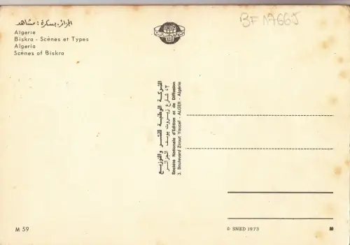 BF17665 Biskra Scnes Set Typen Algerien Front/Back Bild