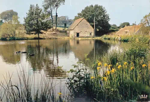 BF12916 indre paysage de la brenne france front/back image