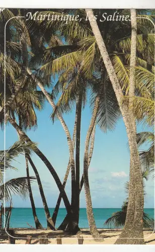 BF25605 martinique sainte annee plage des salines france front/back image