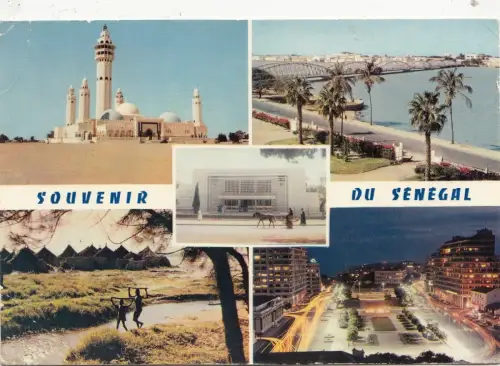 BF28423 senegal multi views front/back image
