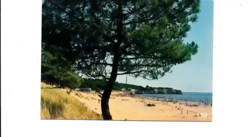 BF12797 st georges de didonne la plage le restaurant v france front/back image