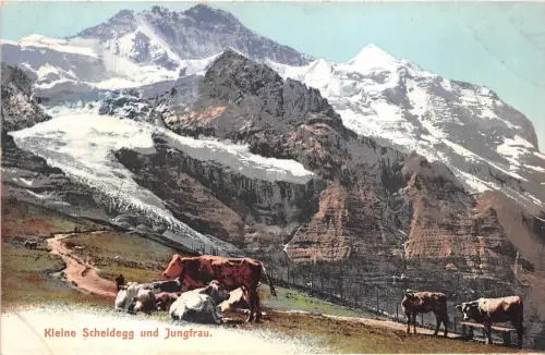 B4969 Jungfrau Front/Back Scan