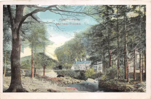 BF35477 Topf Paar Betts Coed Wales UK Front/Back Scan