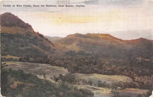 BF36054 Ceylon Sri Lanka Reisfelder oder Reisfelder vom Eisenbahn Front/Back Scan