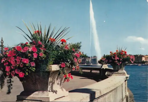 BF24123 la rade et le jet d eau geneve schwizerland Vorder-/Rückbild