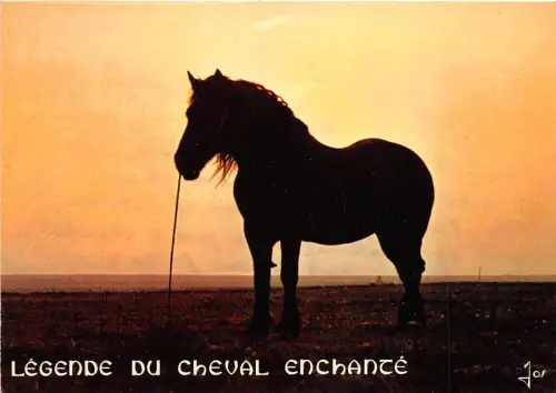 BF39264 Bretagne Legende Frankreich Pferd Cheval Animal Animaux
