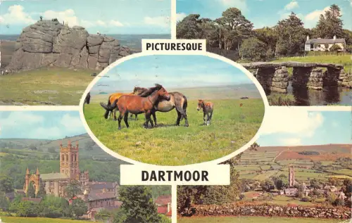 B101082 malerisches Dartmoor Pferd UK 14x9cm