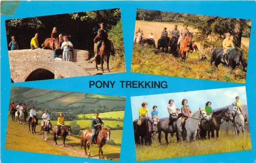 BF39241 Pony Tracking UK Horse Cheval Animal Animaux