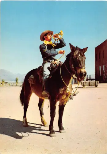 BR56480 Pferdechaveaux Animaux Tiere