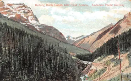 B5407 Wiking Horse Canon Near Field