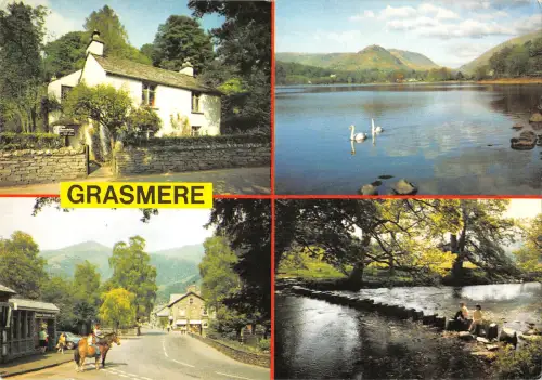 uk5291 horse grasmere uk