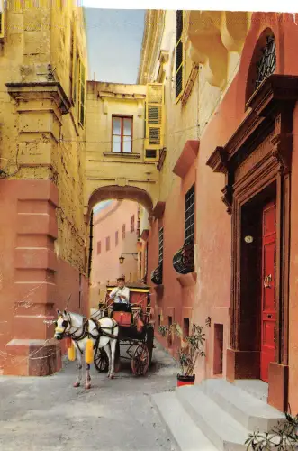 B110610 Malta Typische Pferdekutsche mit schmaler Straße