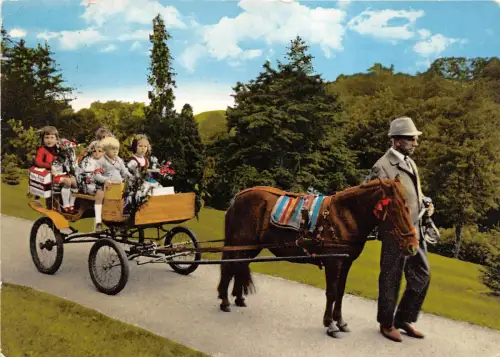 BG21788 Bergstadt St Andreasberg Oberharz Kinder Pferd Germany CPSM 14,5x9cm