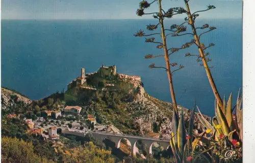 BF28801 eze veritable nid daigle france front/back image