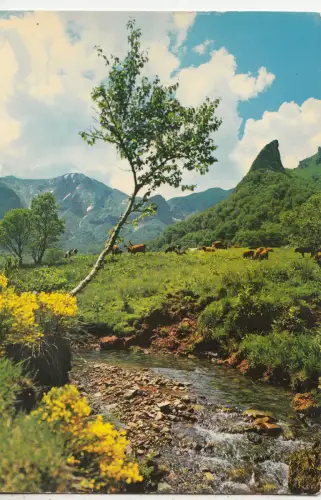 BF14205 vallee de chaudefour la couze de chambon france front/back image