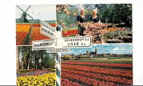 BF12881 Holland in Fließdekorationstypen Niederlande Vorder-/Rückbild