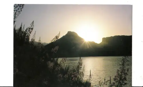 BF13659 lever de soleil sur un champ d epilobes france front/back image