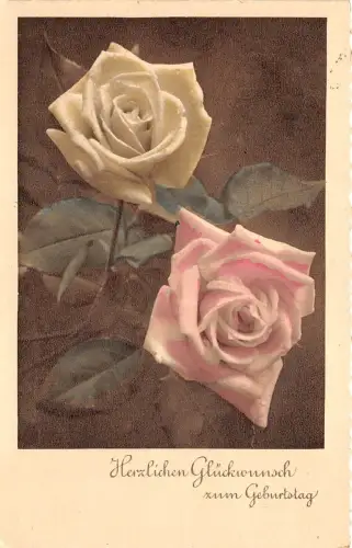 BG8885 Rose Blume Geburtstagsgrüße Germany