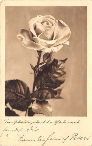 BG8887 Rose Blume Geburtstagsgrüße Germany