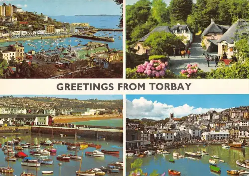 BR91488 Grüße aus Torbay UK