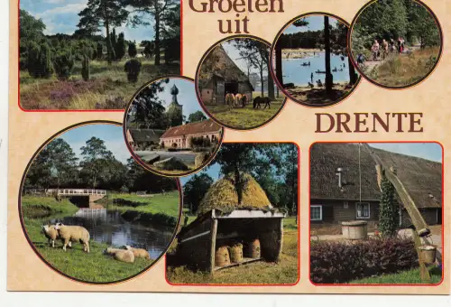BF13688 mooi drente types netherland front/back image