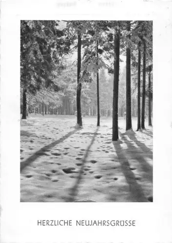 BG4160 Neujahr Neujahr Landschaft Winter Deutschland Grüße