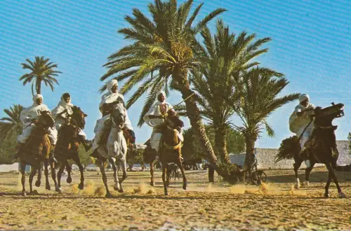 BF18768 Fantasie Pferde Typen Tunesien Vorder-/Rückbild