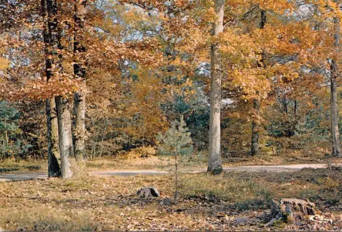 BF13956 notre belle france sous bois france front/back image