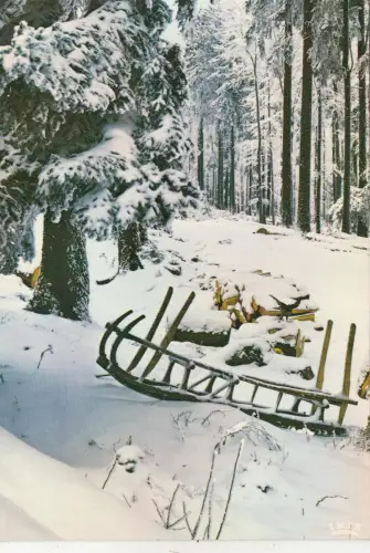 BF24813 les vosges sous la neige scene hivernale france front/back image