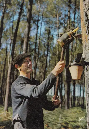 BF21505 les landes un resinier france front/back image