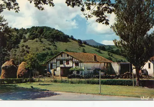 BF13971 st pee sur nivelle dans le fond la rhune france front/back image