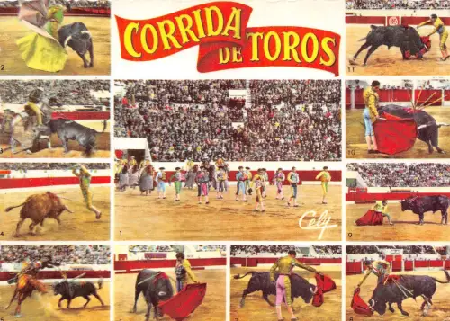 BF39388 Toros Multi Views Corrida Bull Taureau Animal Animaux