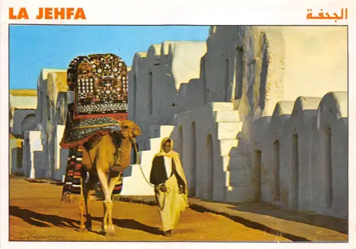 BF39544 tunesia les jehfa camel chameau animal animaux