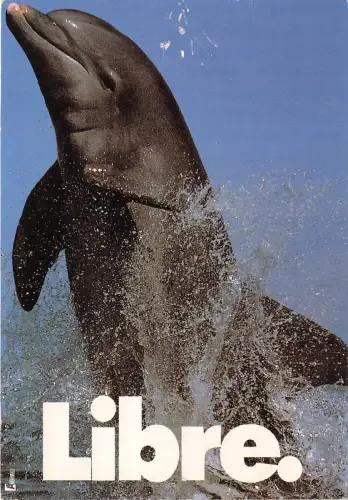 BF38812 Libre Marc Robin Dauphin Delphin Tier Animaux