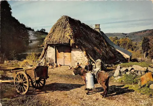 BF39567 Auvergne Typen Frankreich Esel und Tier Animaux
