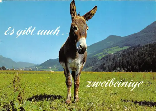 BF39563 Frankreich Esel und Tier Animaux