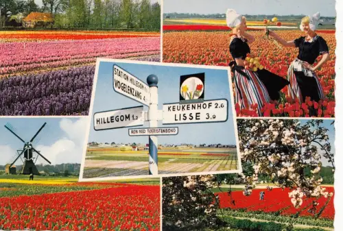 BF12880 Holland in Fließdekorationstypen Niederlande Vorder-/Rückbild