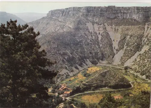 BF13666 le massif de aigoual haut languedoc france front/back image