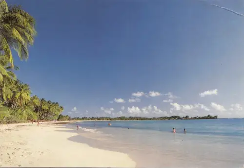 BF25717 martinique olage des salines france front/back image