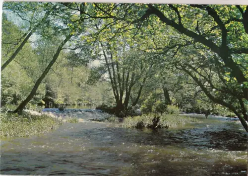 BF14368 morvan la vallee du cousin france front/back image