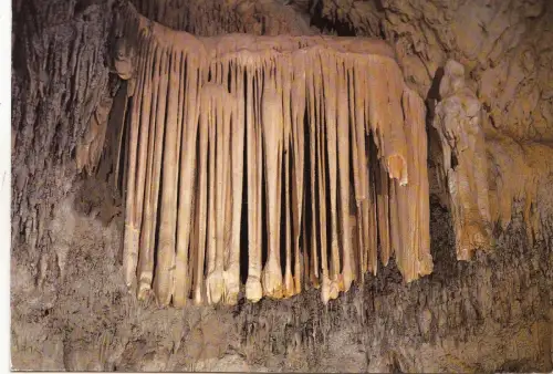 BF14549 le manteau royal grotte des demoiselles france front/back image