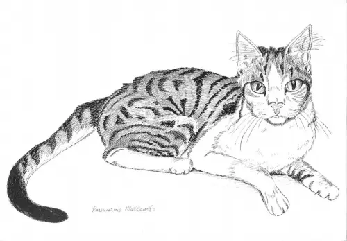 BT9218 Kaline Katze Chat Rosemarie Mathevet Postkarte Gemälde Tier Animaux