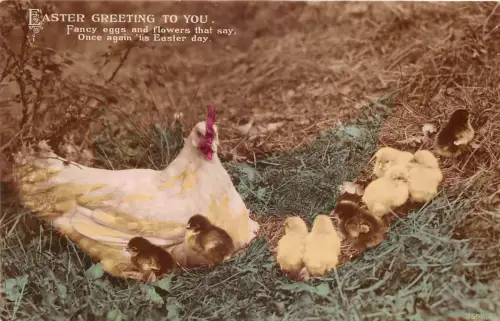 Lot222 Grüße Osterhenne mit Küken UK Geflügel Tier