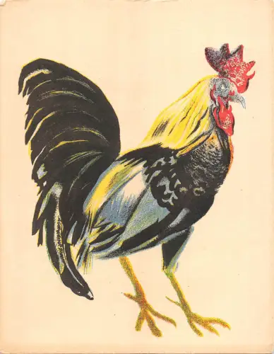 BR71909 Kuh Hahn Frankreich Tier Animaux