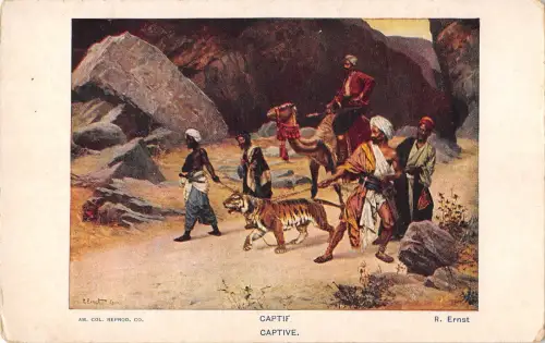 BR45282 Gefangene Tier Animaux Tiger