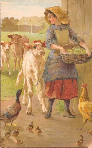 Lot220 Mädchen füttert Tiere Kalb Gans Huhn Postkarte Tier UK